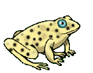 カエル アニメーション画像-gif